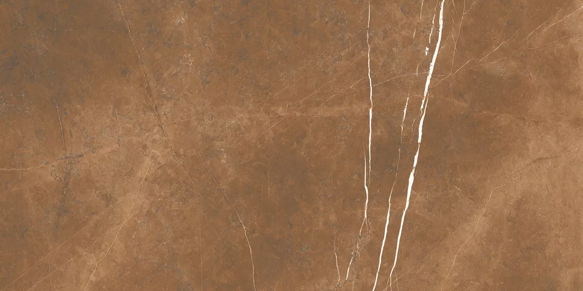 Керамогранит Pulpis Choco  ENSTN1035MT60120 Matt