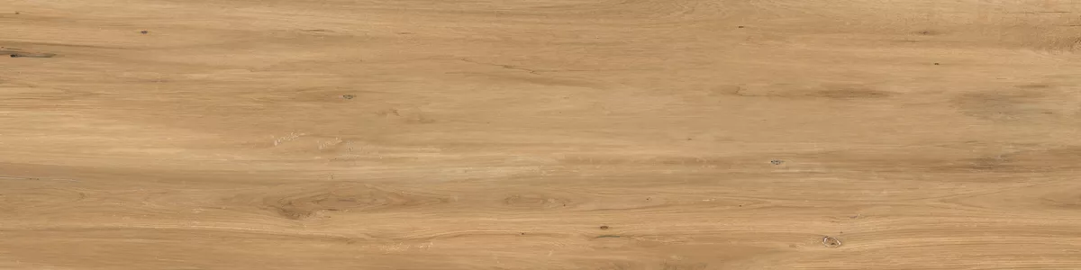 Керамогранит Oak Olive ENWD5020SR1130120 Structured R11