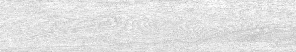 Керамогранит Foresta Bianco ENWD1024MT20120 Matt