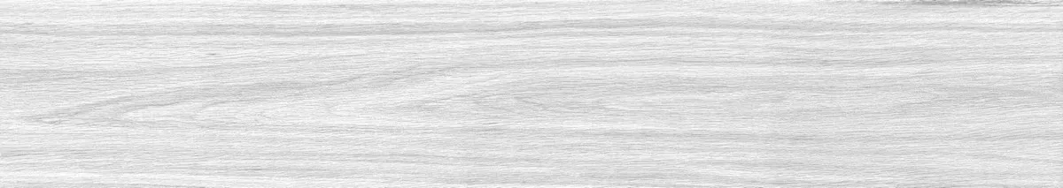 Керамогранит Foresta Bianco ENWD1024MT20120 Matt