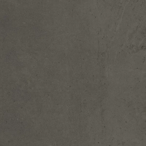Керамогранит Гоби Серый (Gobi Grey) GO11 матовый
