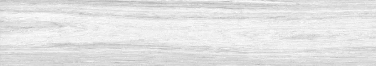 Керамогранит Foresta Bianco ENWD1024MT20120 Matt