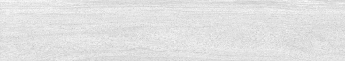 Керамогранит Foresta Bianco ENWD1024MT20120 Matt