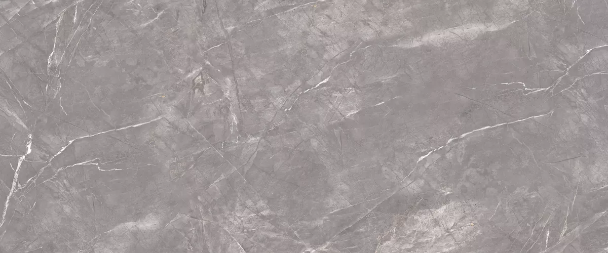 Керамогранит Ariana Grey ENSTN3103SP120280 SP Matt