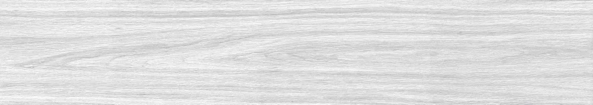 Керамогранит Foresta Bianco ENWD1024MT20120 Matt