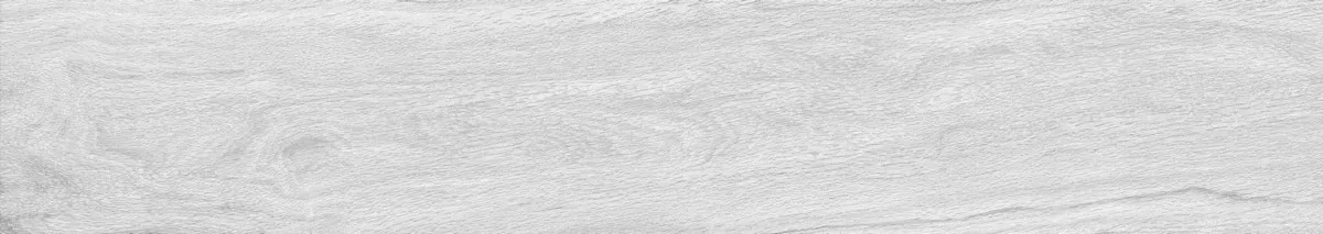 Керамогранит Foresta Bianco ENWD1024MT20120 Matt