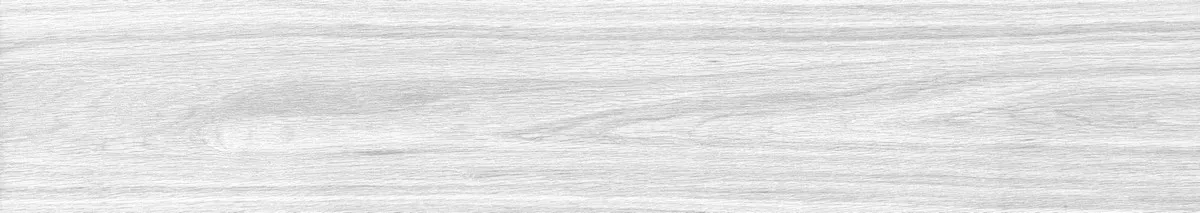Керамогранит Foresta Bianco ENWD1024MT20120 Matt